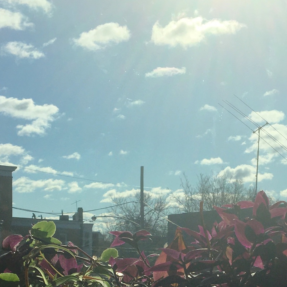 Meet your Posher, Priscilla